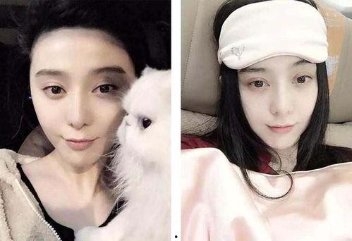 娱乐圈明星在线吃瓜,揭秘幕后故事与幕后黑手