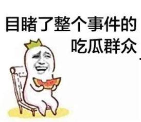 娱乐吃瓜酱偷外卖的小说,一场美食与八卦的奇妙邂逅