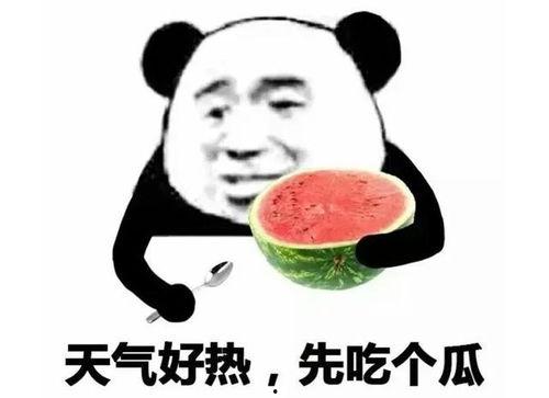 娱乐吃瓜酱输在了哪里,揭秘输在何处