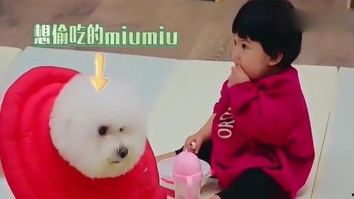 娱乐吃瓜妞,揭秘娱乐圈那些不为人知的幕后故事