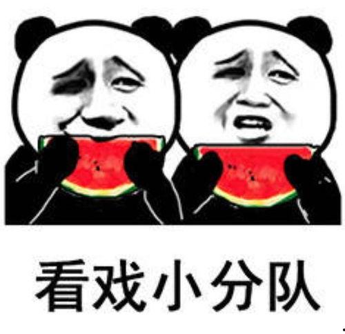 娱乐吃爆瓜,爆瓜盛宴，明星幕后故事大公开