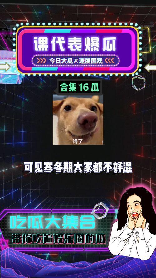 娱乐厅吃瓜,揭秘娱乐圈背后的故事与真相