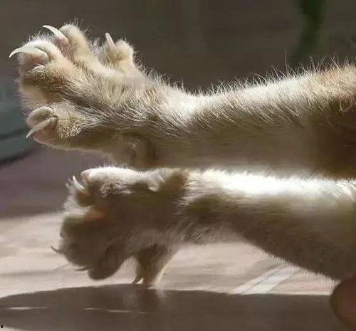 娱乐吃瓜菌7个真实故事,揭秘明星背后的故事