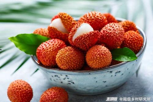 娱乐吃瓜酱荔枝,揭秘娱乐圈那些不为人知的幕后故事