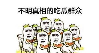 吃瓜群众带你看娱乐,吃瓜群众带你领略明星幕后故事