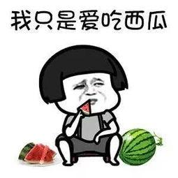 娱乐吃瓜hs,吃瓜群众背后的故事