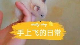 娱乐圈吃瓜背景板是谁,揭秘“吃瓜背景板”背后的故事