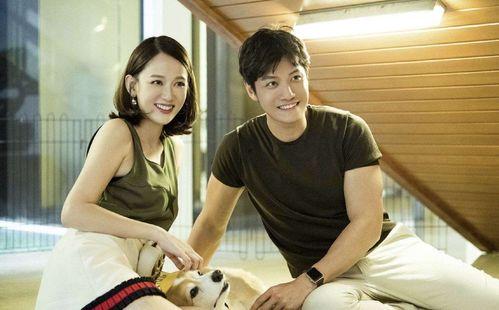 娱乐吃瓜酱前男友衣服,时尚与个性的完美结合