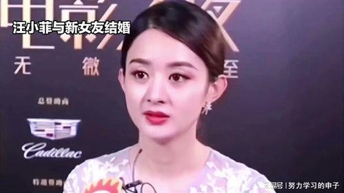 娱乐八卦吃瓜赵丽颖小说,娱乐圈的甜蜜瓜田，揭秘明星背后的爱情故事