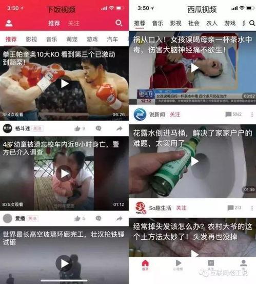 娱乐吃瓜酱飞鱼视频下载,娱乐吃瓜酱带你轻松获取热门娱乐内容