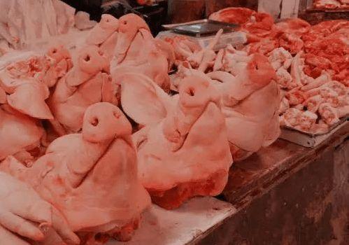 猪头娱乐圈吃瓜,揭秘明星幕后吃瓜大揭秘