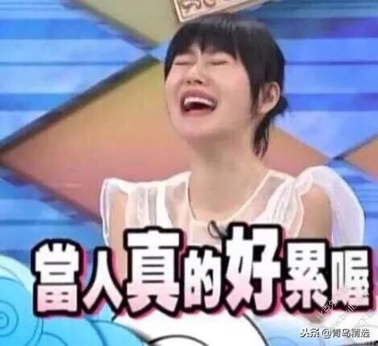 娱乐圈搞笑吃瓜事件小说,笑料百出的瓜田奇遇记