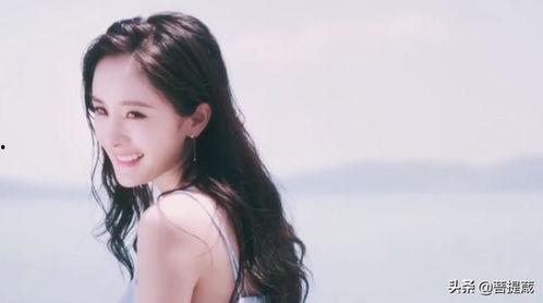 娱乐圈吃瓜论坛有哪些,揭秘明星幕后故事与八卦风云