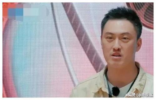 娱乐圈吃瓜爆料陈赫视频,娱乐圈吃瓜爆料背后的真相揭秘