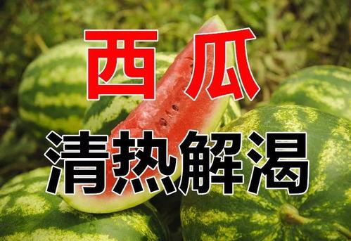 娱乐吃瓜酱过生日文案,一场欢乐与惊喜的盛宴
