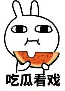 娱乐吃瓜酱自由,揭秘娱乐圈背后的那些事儿